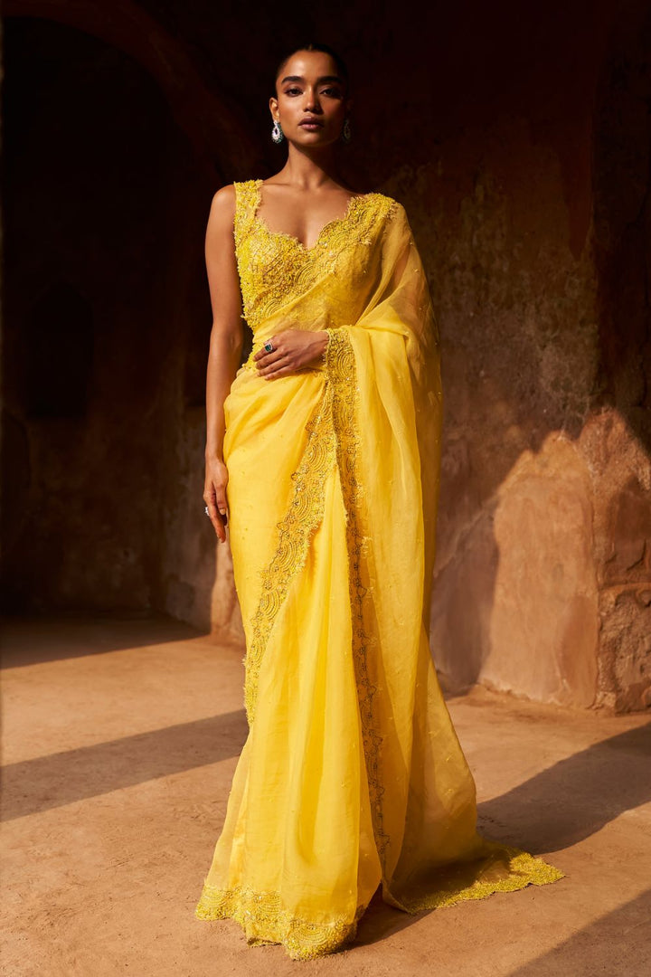 Dream Weaver Blouse and Saree Set