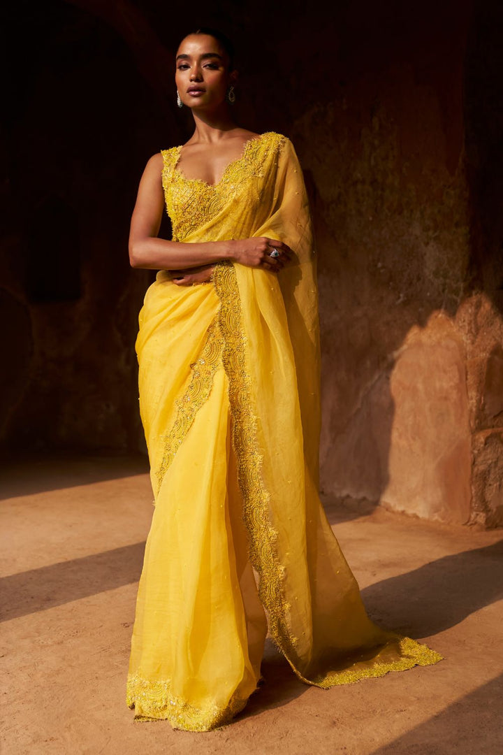 Dream Weaver Saree Set