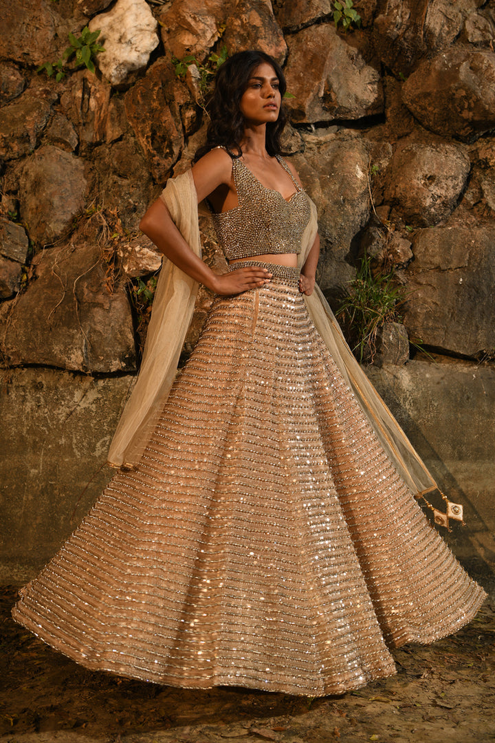 Embellished Lehenga Set